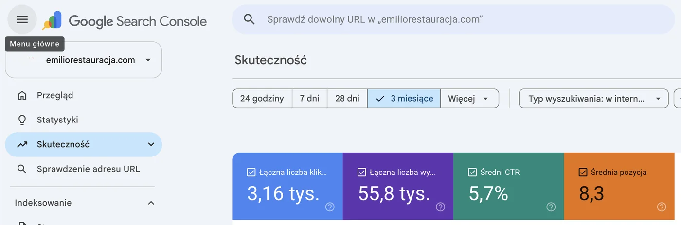 Google Search Console dla Emilio